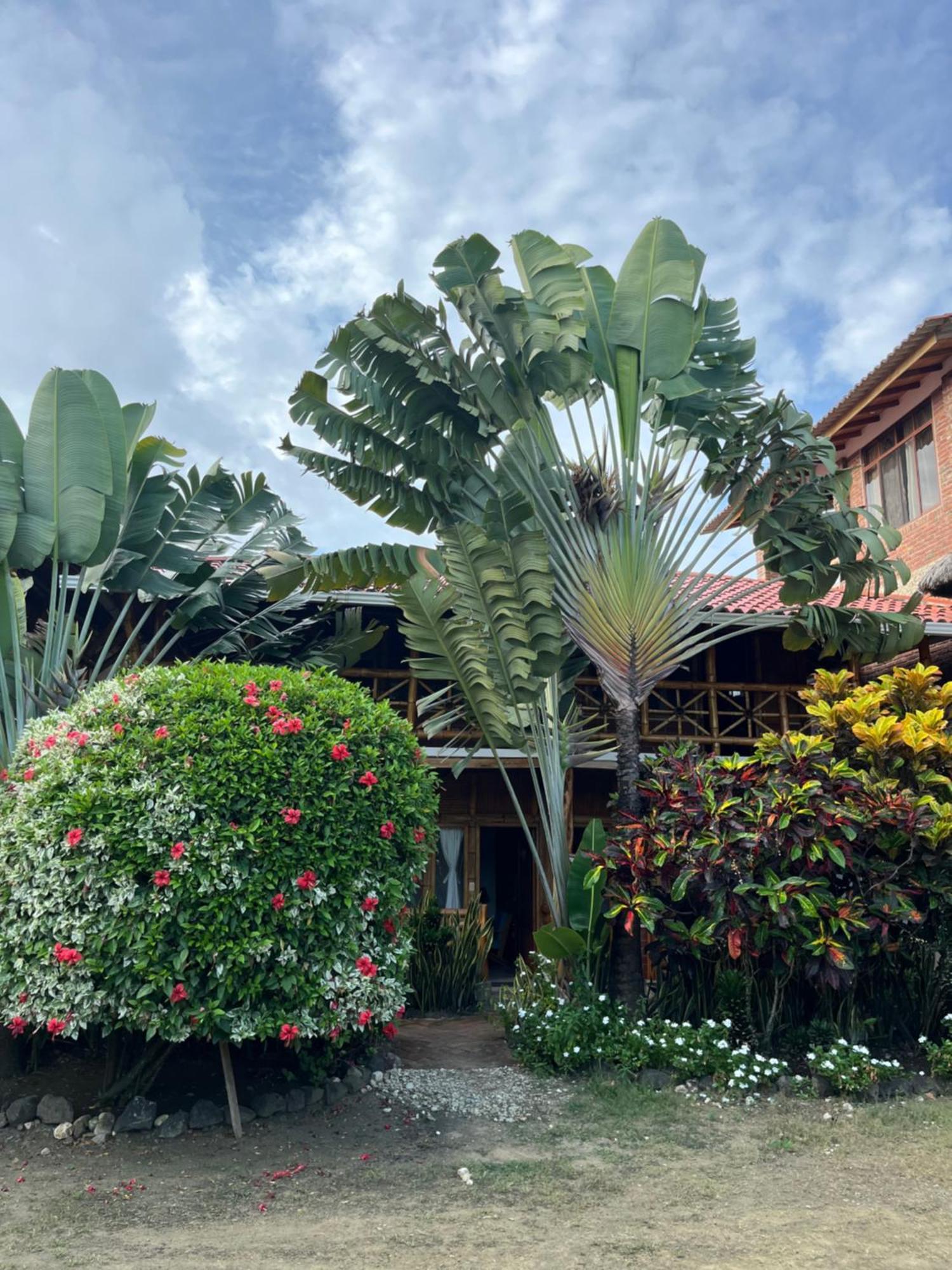 Victor Hugo Hotel Puerto López Buitenkant foto